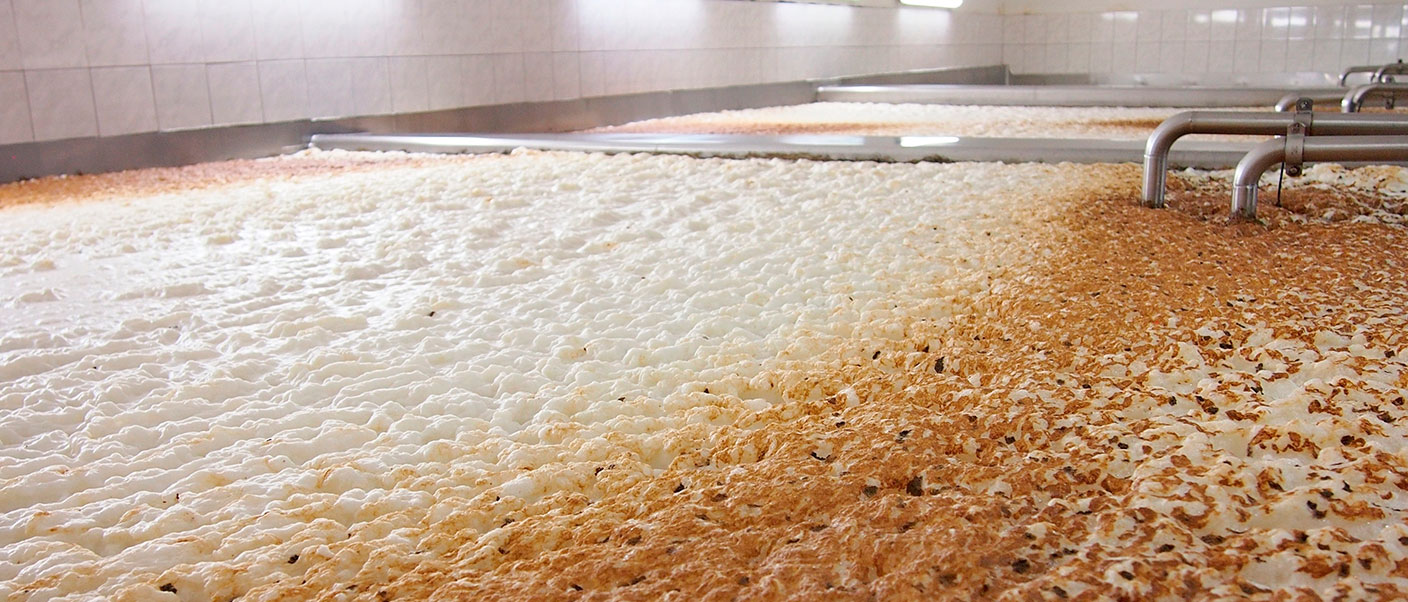 Open fermentation: a process that continues to captivate some beer lovers